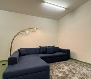 Ecksofa mit Ausziehfunktion Ink.Lieferung – Occasion Sofa kaufen bei SofaLab