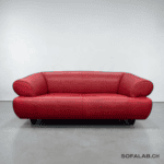 De Sede DS-91 Sofa, Vintage Leather, Lipstick Red – Buy Occasion Sofa at SofaLab